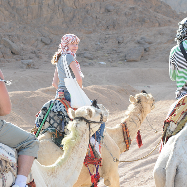 Camel Ride