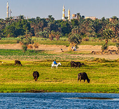 Fayoum