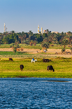 Fayoum