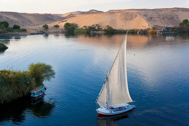 Nile Felucca